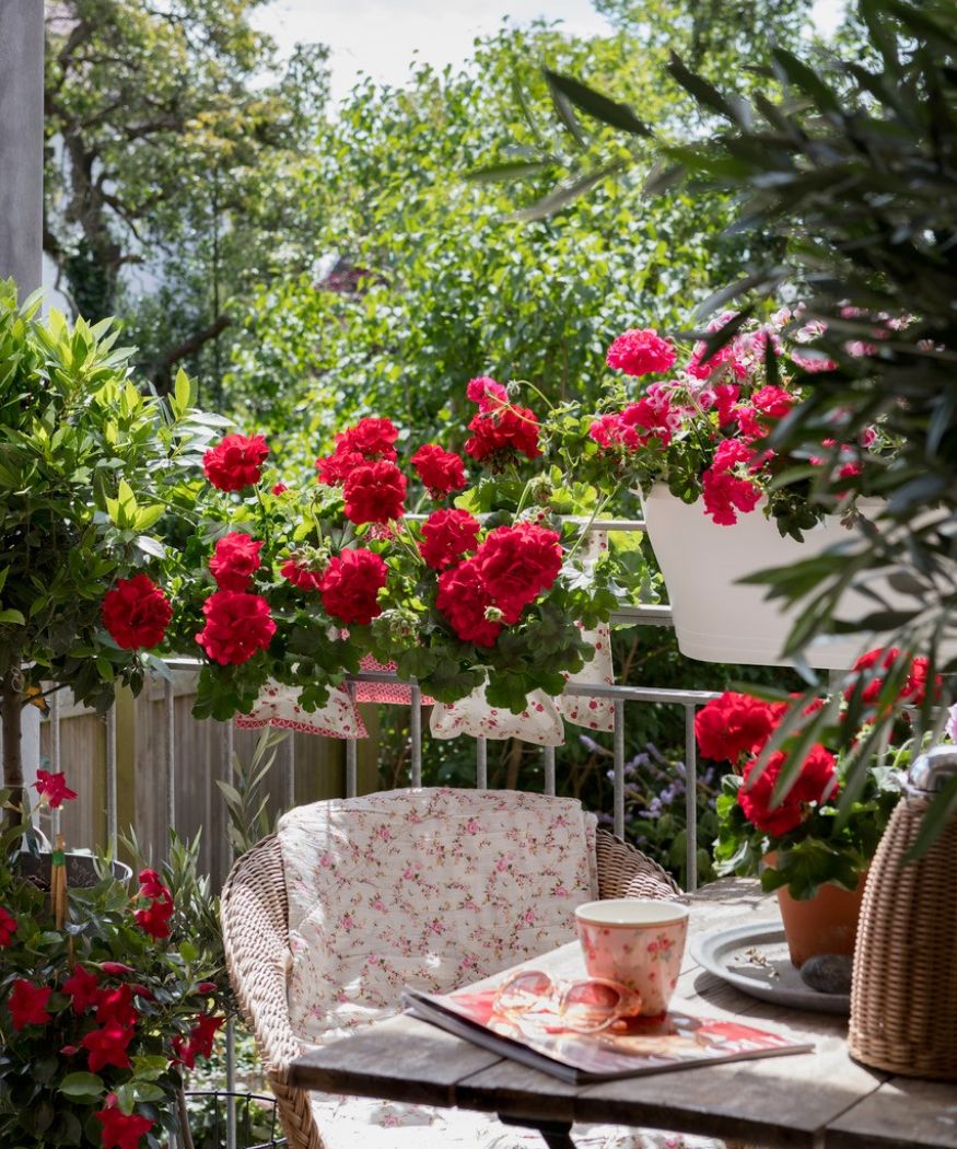 Kleiner Balkon im Halbschatten mit roten Geranien am Geländer und gedecktem Tisch mit Sonnenbrille und Tasse.