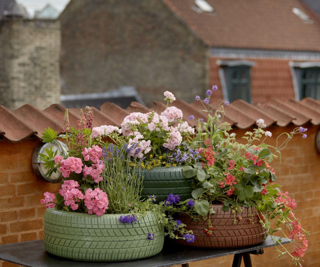 Geranien verschiedener Farben in alte Reifen eingepflanzt. Die Reifen sind hellgrün, dunkelgrün und braun eingefärbt.