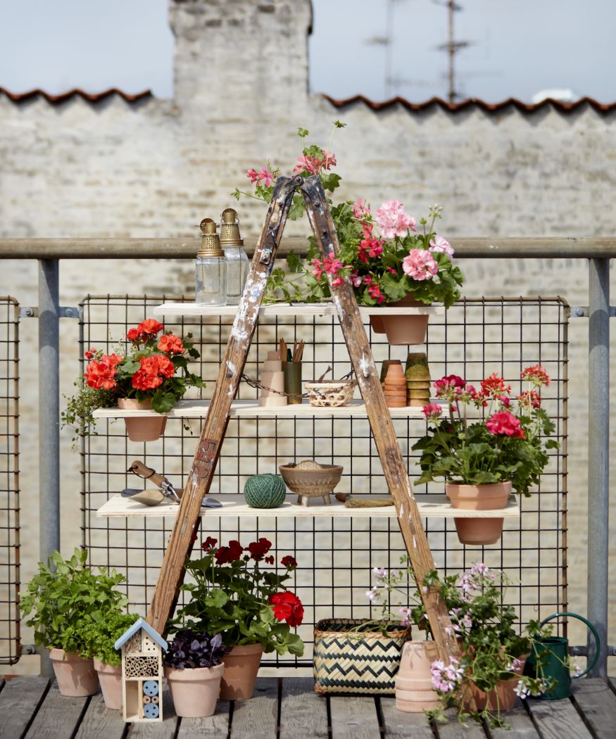 2021-geraniums-4050-diy-urban-flower-ladder-09