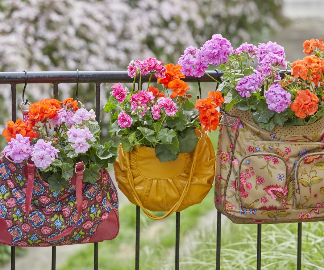 Mit Geranien bepflanzte Handtaschen im Vintage Stil am Balkongeländer