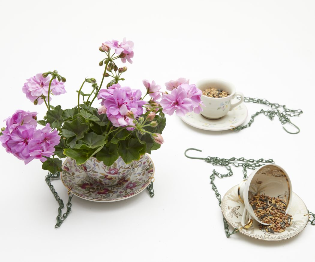 2022-geraniums-5060-diy-blooming-bird-feeder-teacups-06