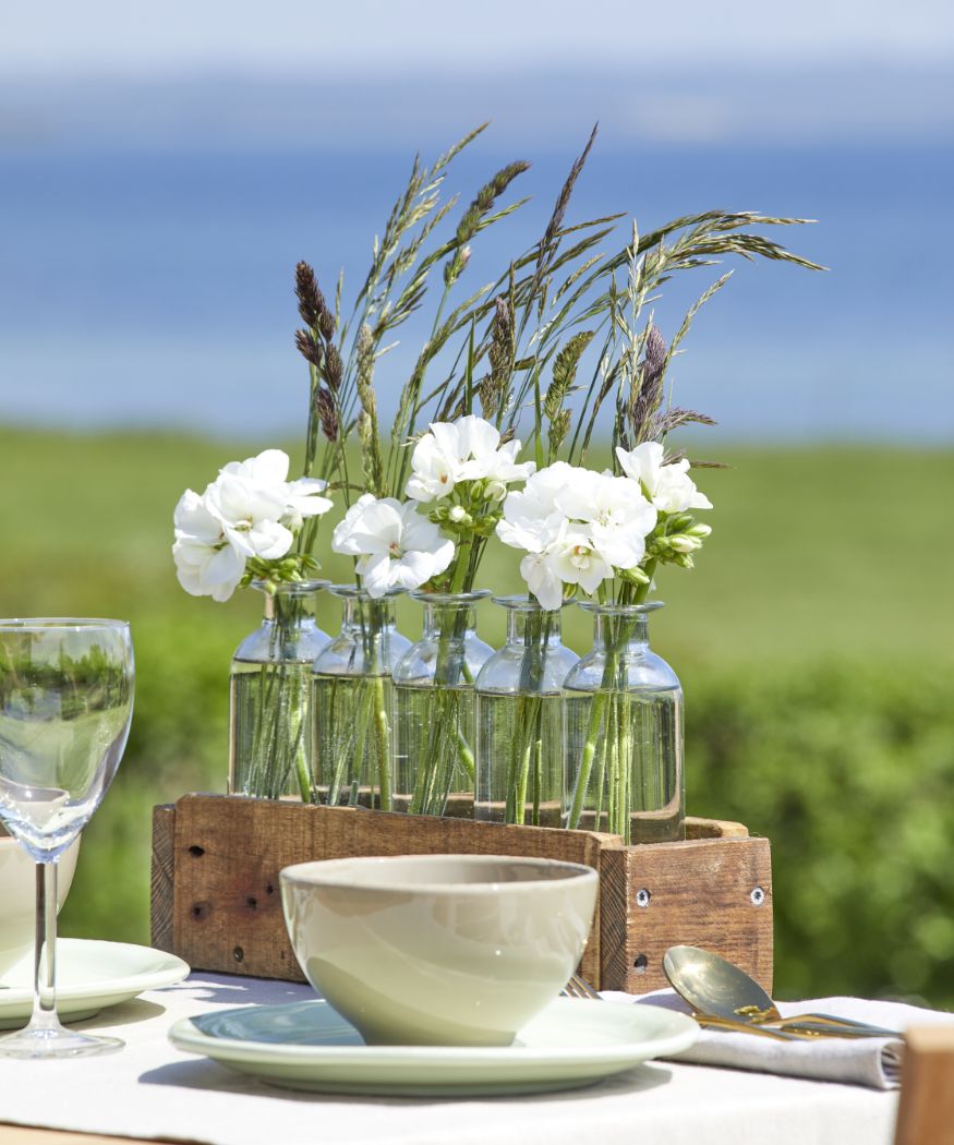 geraniums-summer-breeze