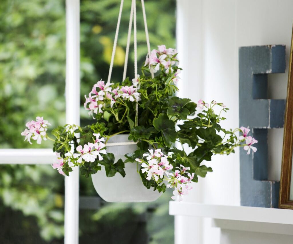 Floating flower magic Hanging baskets and other hanging containers