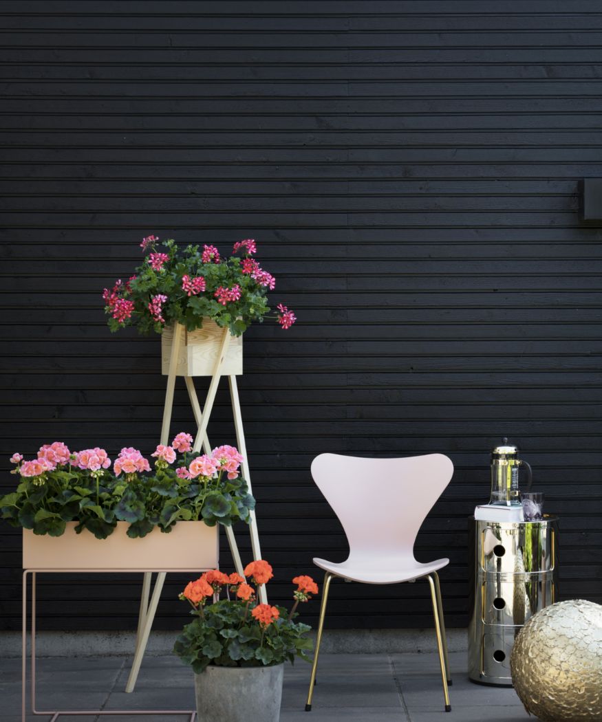 2019-geraniums-400-modern-style-003