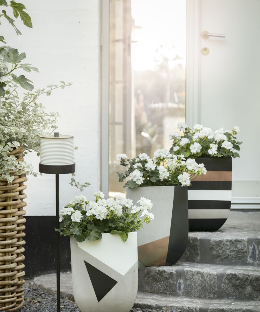 2019-geraniums-900-diys-1-customized-concrete-planters-003