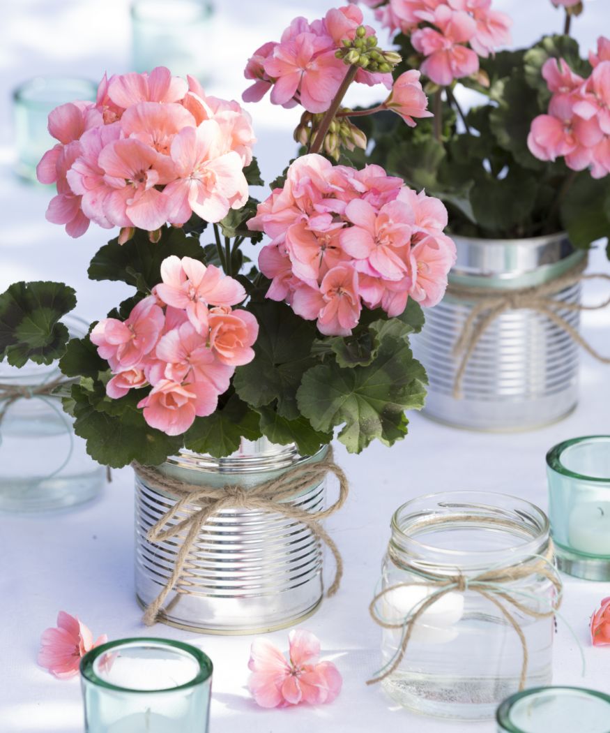 2019-geraniums-900-diys--8-table-decoration-glasses-cans-003