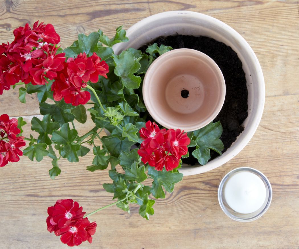 2019-geraniums-900-diys-summer-flower-candle-003