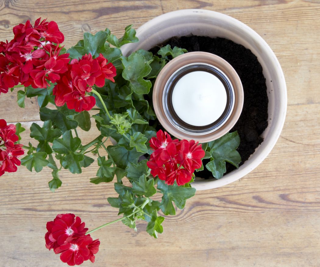 2019-geraniums-900-diys-summer-flower-candle-004