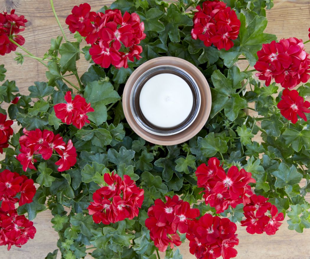 2019-geraniums-900-diys-summer-flower-candle-006