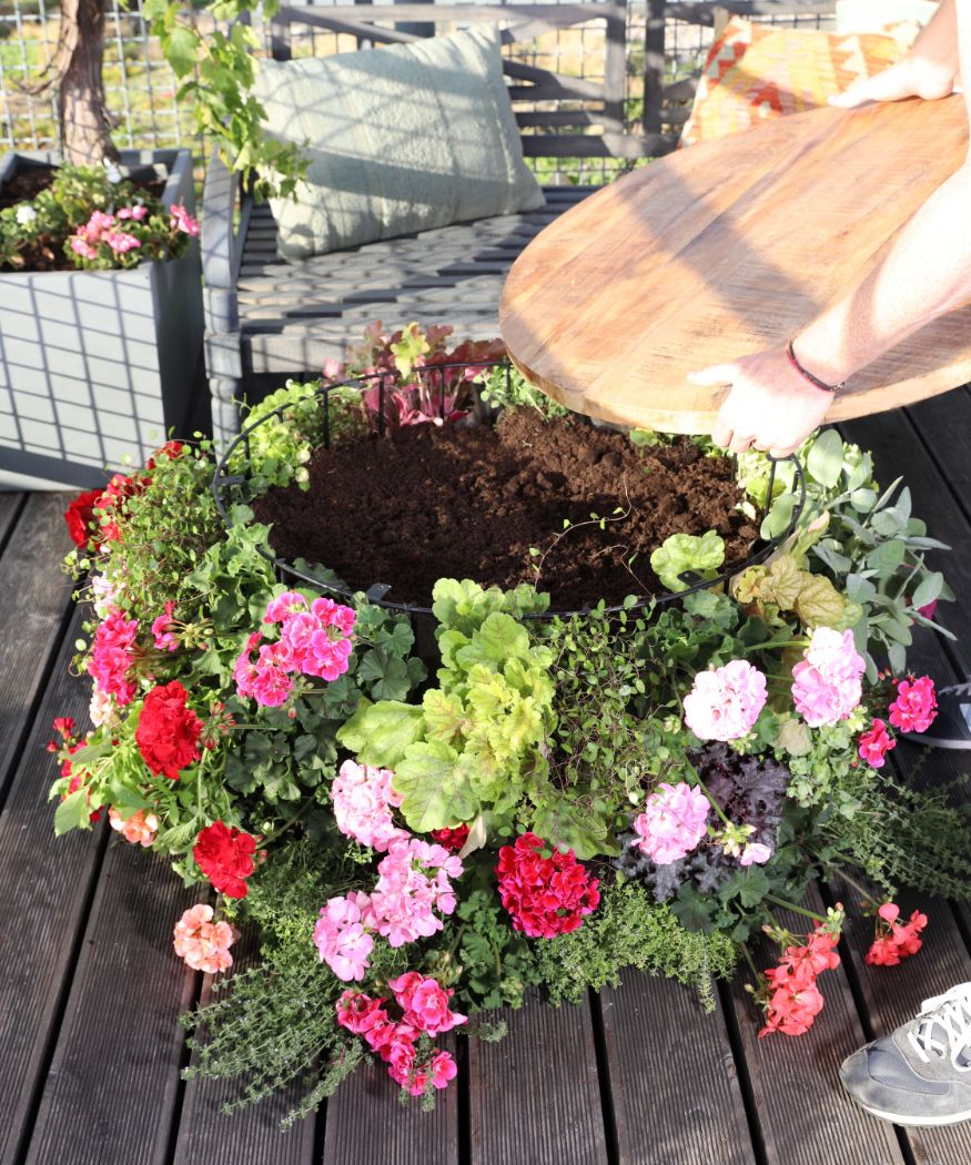 2019-geraniums-950-diy-3-coffetable-10