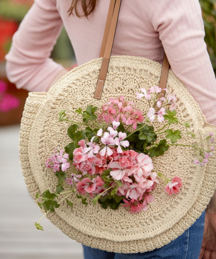 2021-geraniums-4000-urban-summer-escapes-04