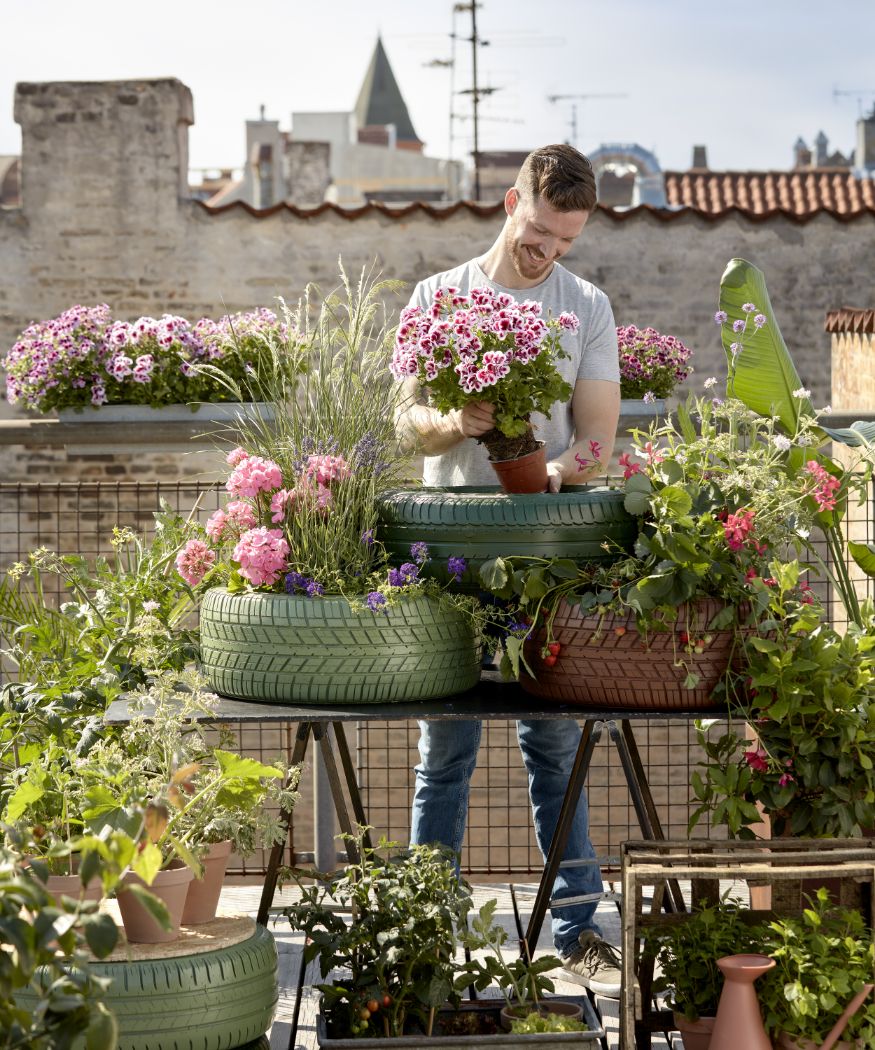 2021-geraniums-4000-urban-summer-escapes-12