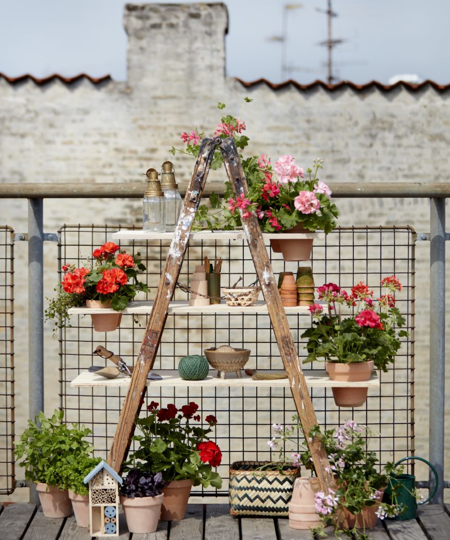 2021-geraniums-4050-diy-urban-flower-ladder-09