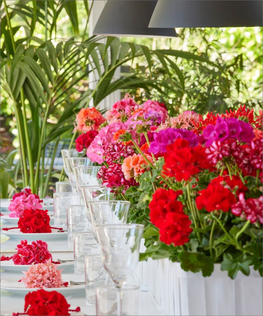 Floral scene-setters. Ideas for table and party decor featuring geraniums ›  My Geranium