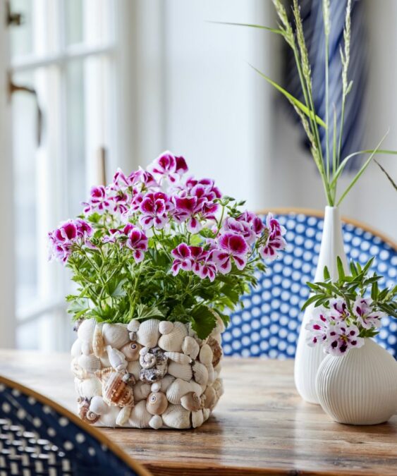 7 easy upcycling ideas for individual geranium pots › My Geranium