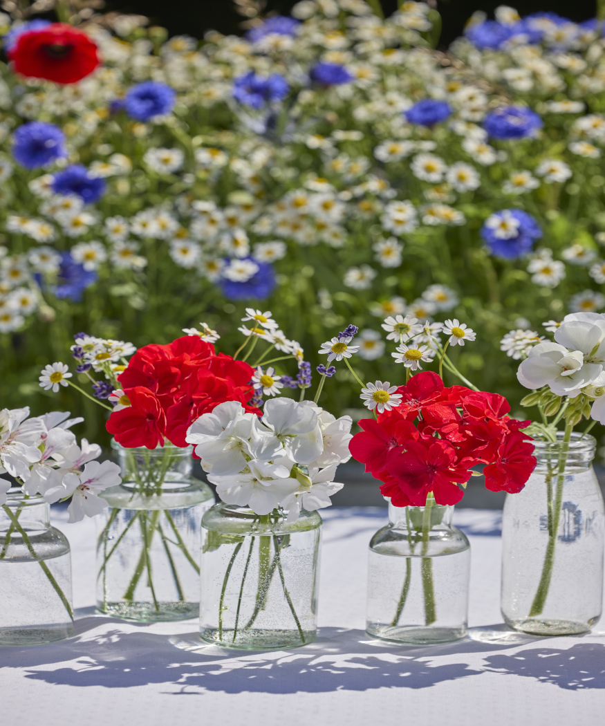 Geraniums for summer tables. Floral ideas for picnics, creating a cottage feel, and modern tables