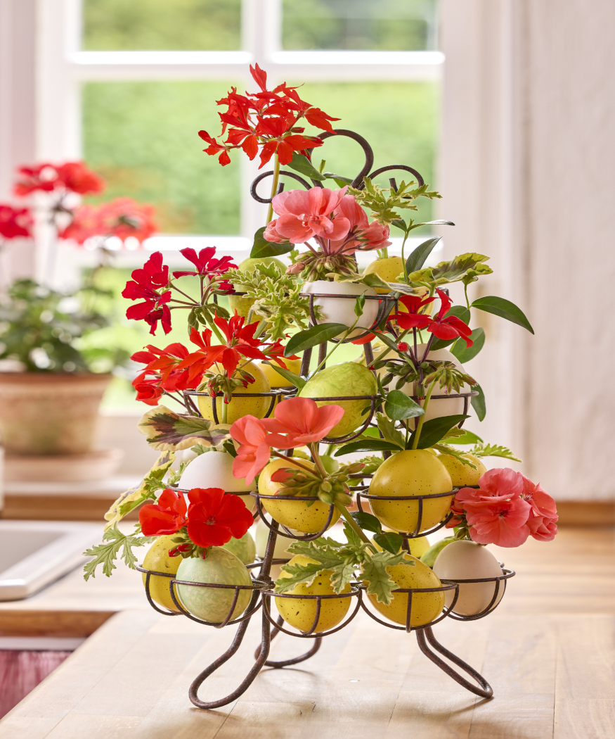 Easter in bloom. Floral decoration ideas with geraniums