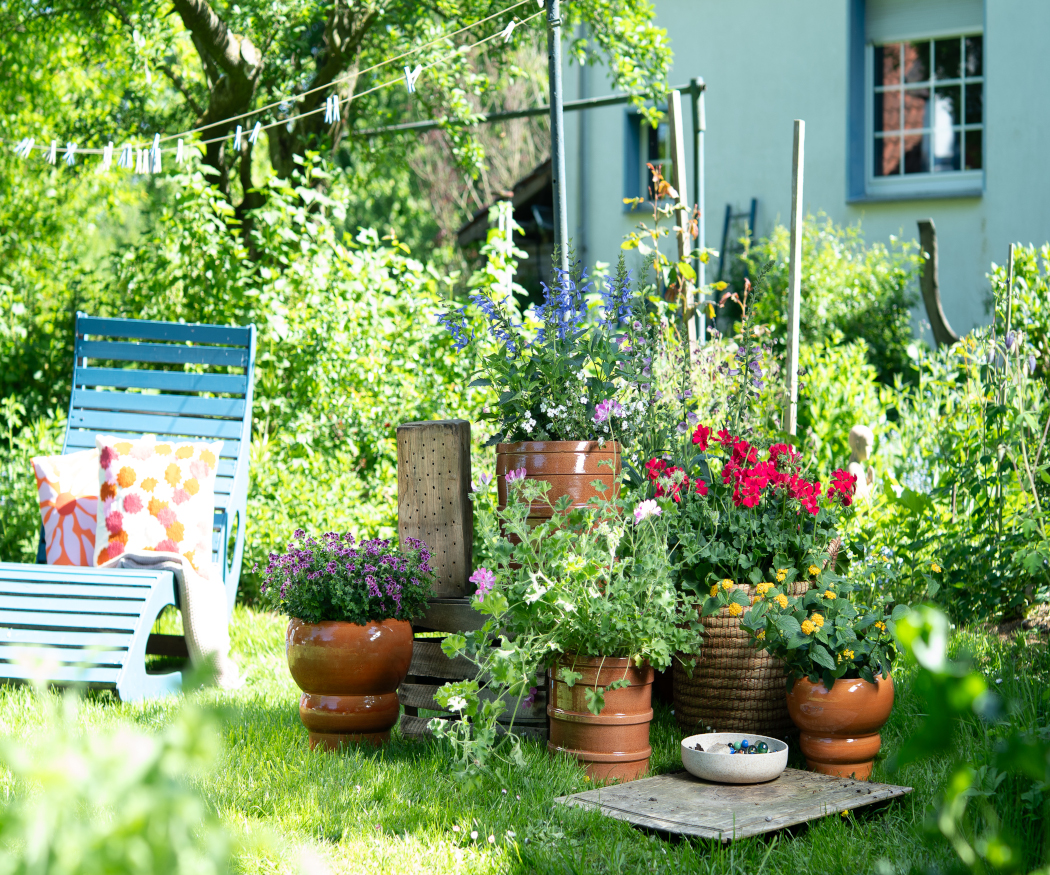 Creative naturalistic gardens using geraniums. Sustainable, colourful and full of creativity